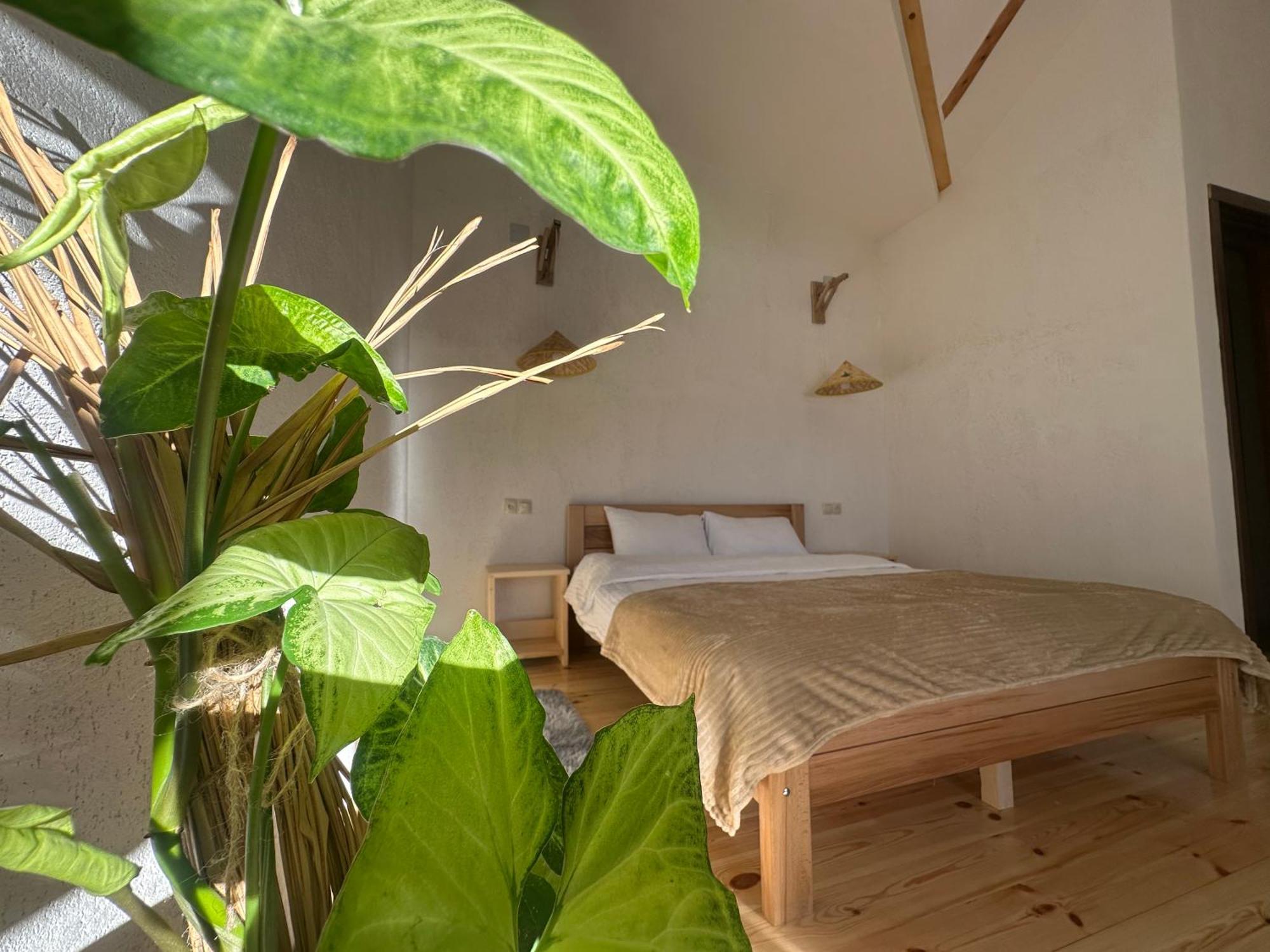 "White House Nakani" - Guesthouse Near The Centre Mestia Exterior photo